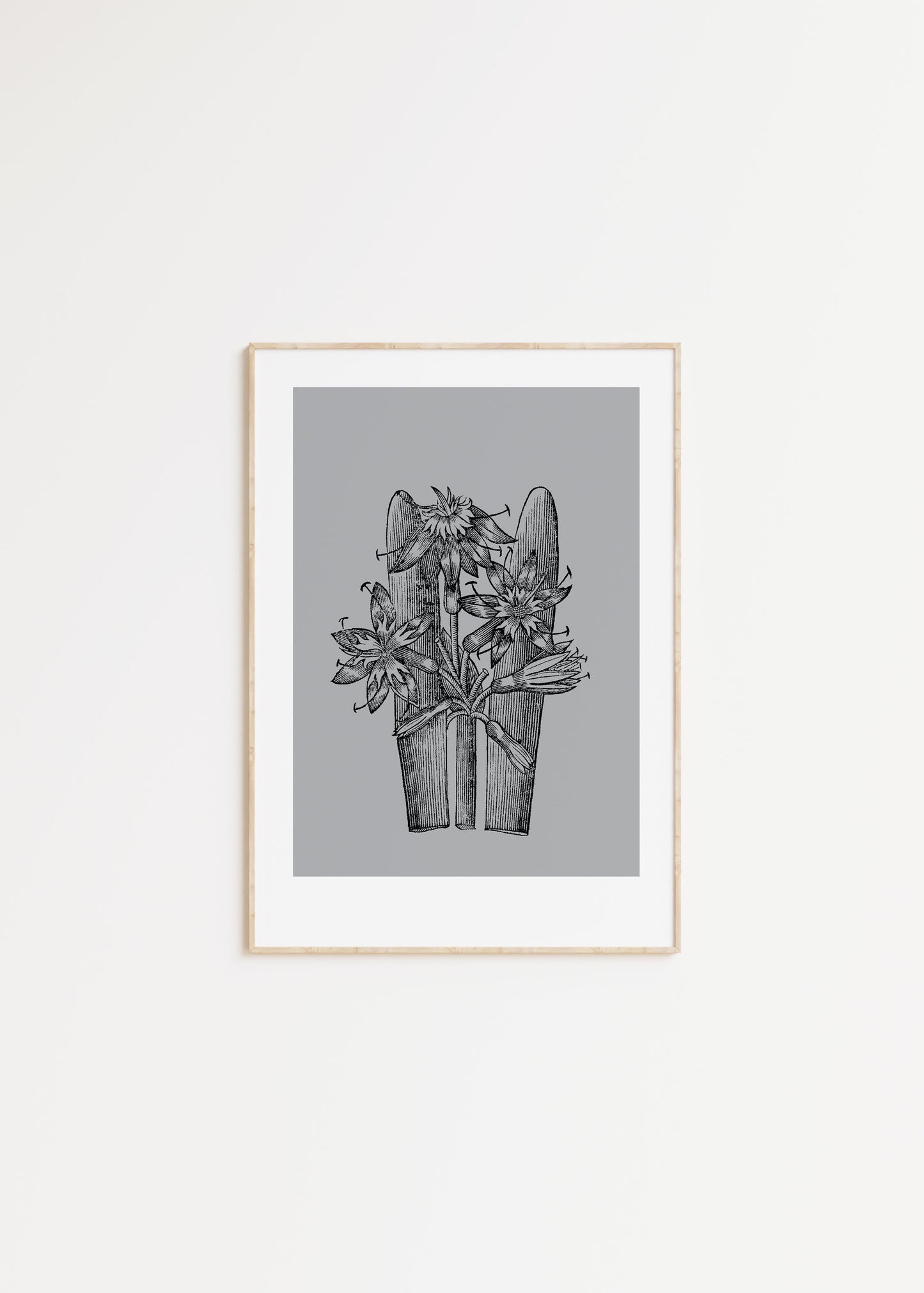 Flower 2 S.V