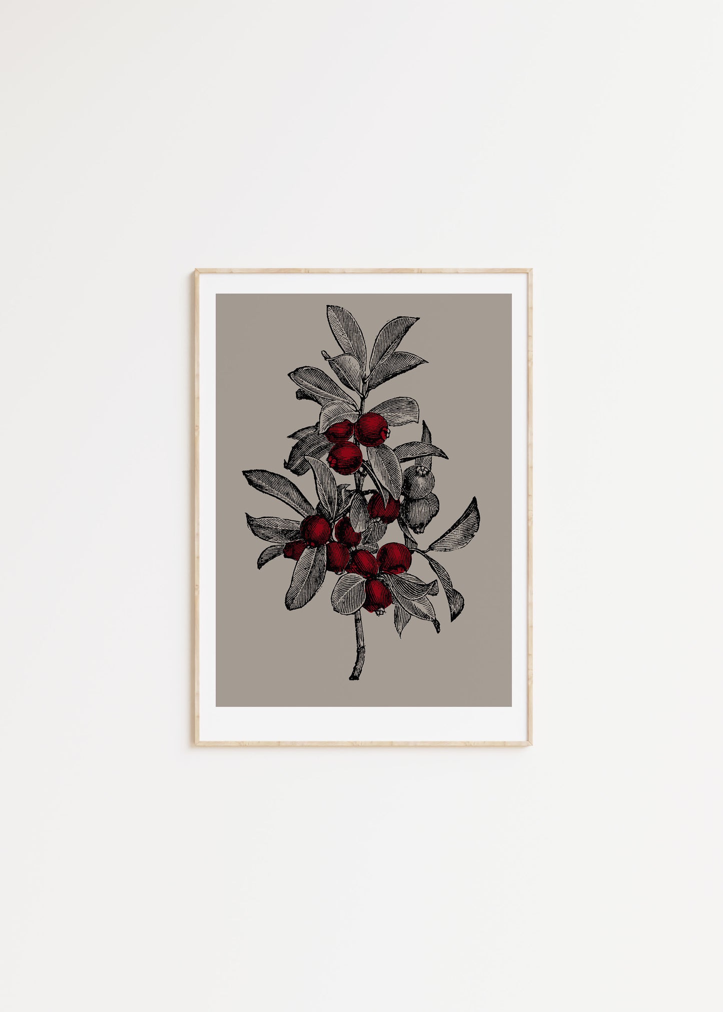 Lingonberry 1