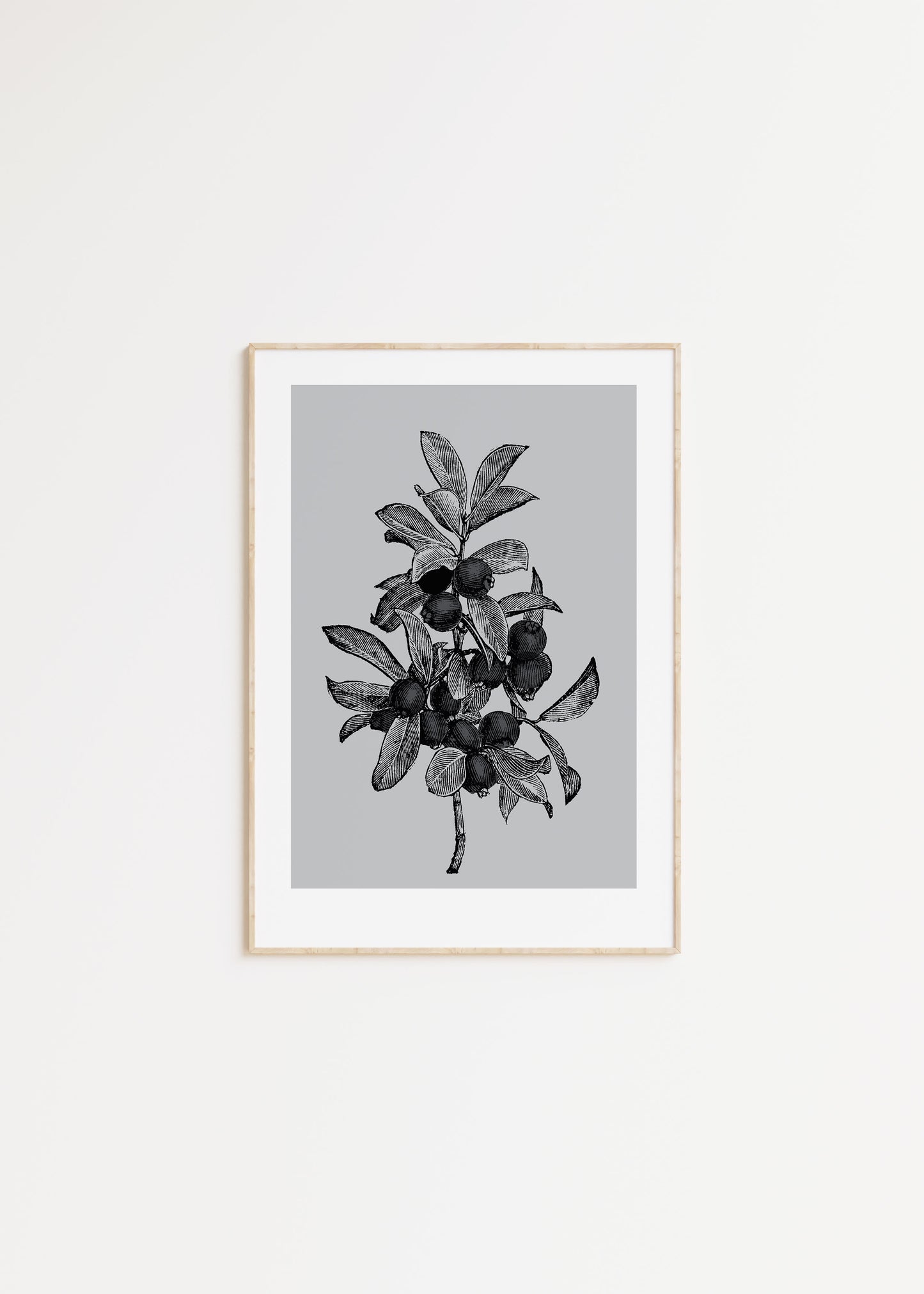 Lingonberry S.V