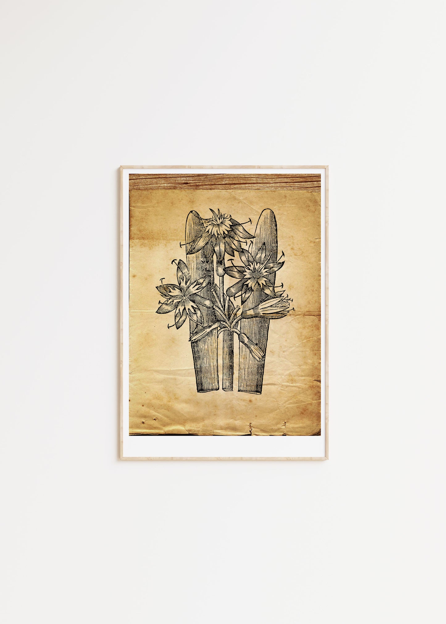 Flower 2